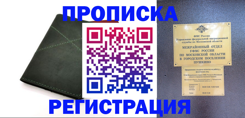 прописка в квартире в Щёлкино